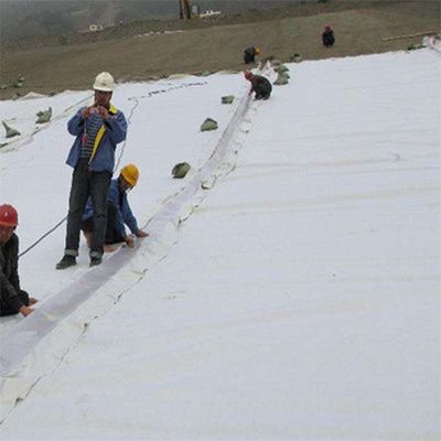 復合土工膜與土工膜 性能、應用及區(qū)別解析