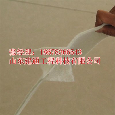 山東建通兩布一膜復合土工膜 汕頭地區(qū)價格、廠家與產(chǎn)品解析