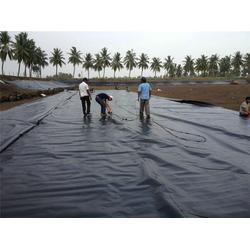 裝修輔材選購指南 膩子粉、土工膜價格與品牌解析