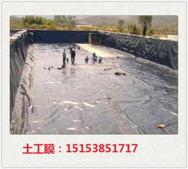高要垃圾場土工膜廠家直銷與藕池防滲膜應用解析 專業(yè)土工膜的選擇與價值