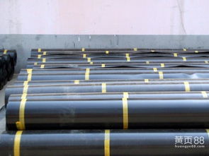 甘南地區(qū)哪里能買到耐用的土工膜？專業(yè)指南助您選擇